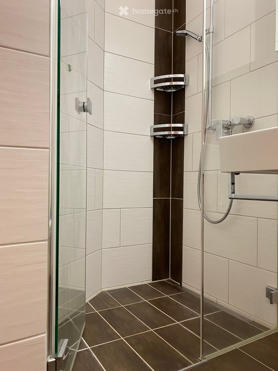 4 1/2-Zimmerwohnung (120 m²) mit Panorama-Fernsicht 9