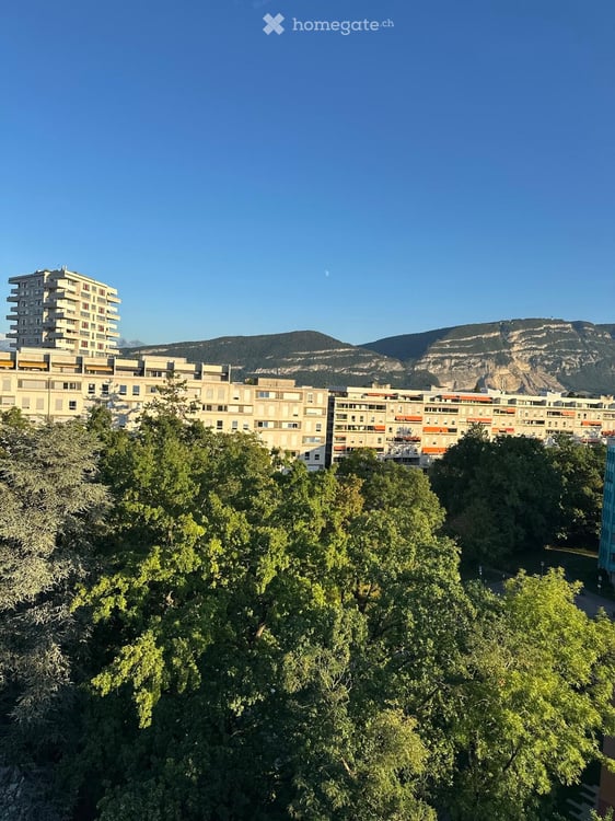 BEAUTIFUL 2.5-ROOM APARTMENT WITH STUNNING MOUNTAIN VIEWS AND SWIMMING POOLS — CHÊNE-BOUGERIES 1