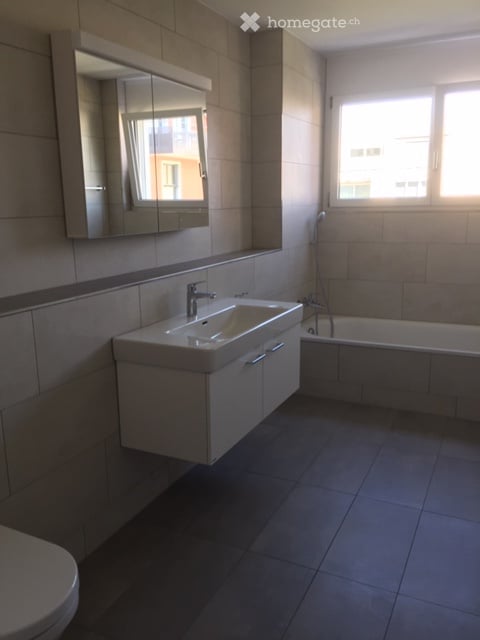 Sonnige 3 1/2 Zimmer Wohnung mit Südbalkon 7