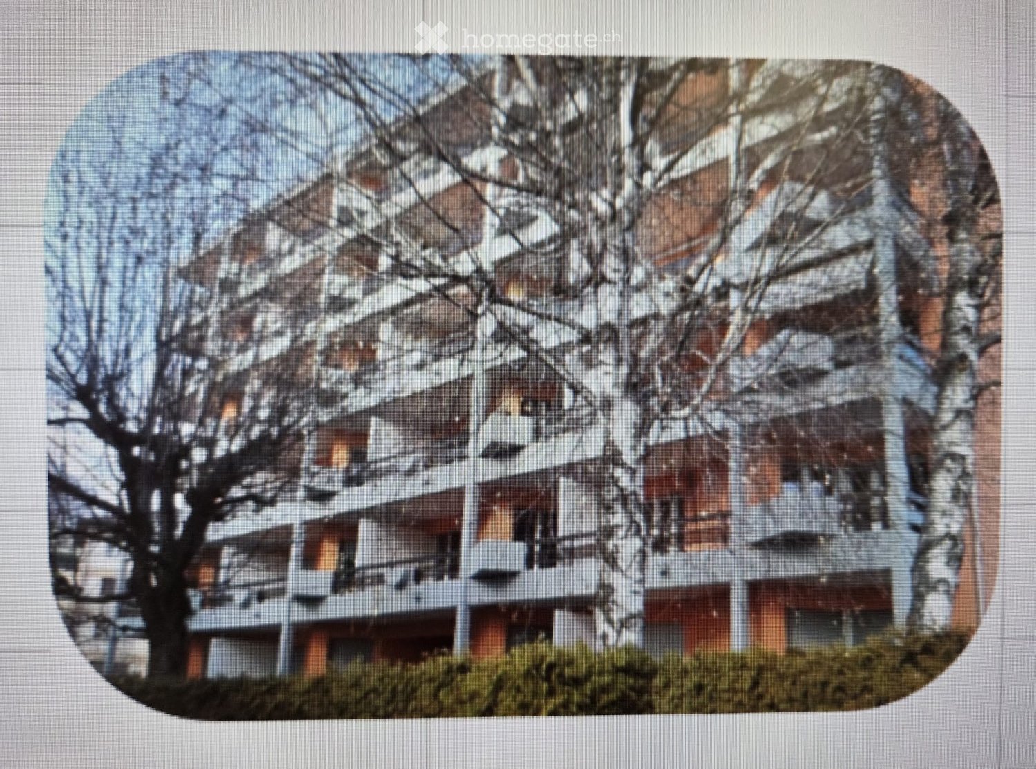 Multi-storey building with balconies, white and orange paint, large trees in front, bushes at the base