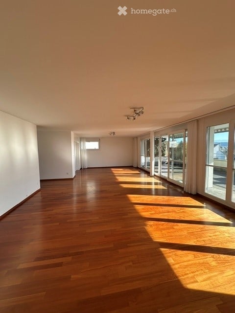 Wunderschöne 2.5 Zimmer Terassenwohnung in Eigentumsstandard mit See-und Bergsicht in Herrliberg 2