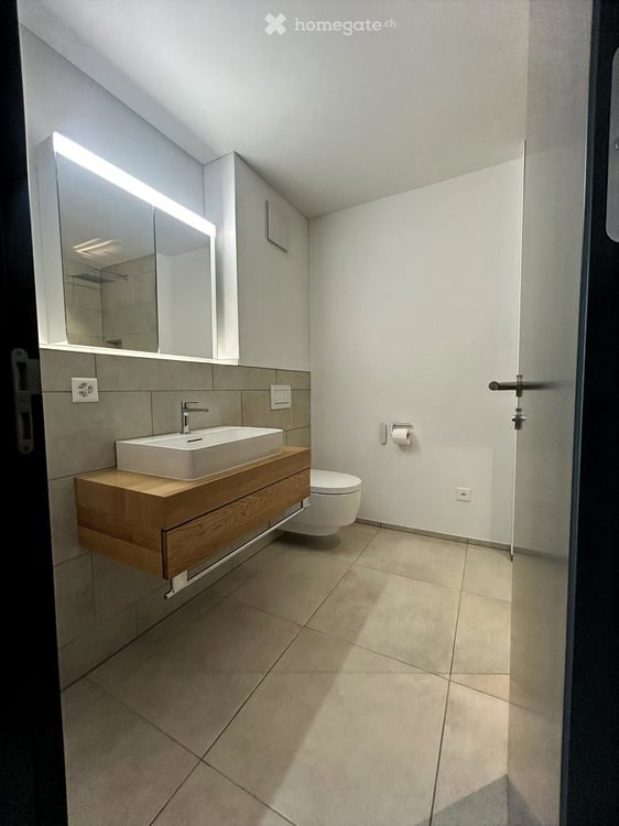 Neuwertige 2.5-Zimmer-Wohnung direkt am Rhein mit Terrasse und Tiefgaragenplatz 8