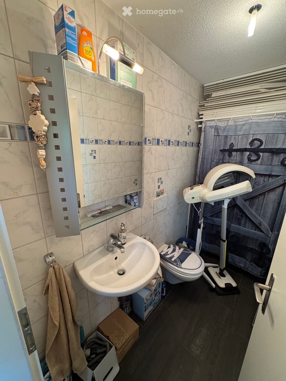 Charmantes 7.5-Zimmer-Doppeleinfamilienhaus in Wolfhausen 10