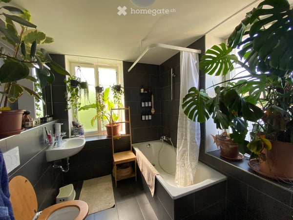 Helle 3.5-Zimmer-Wohnung im Herzen von Richterswil Dorf 14