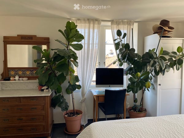 Helle 3.5-Zimmer-Wohnung im Herzen von Richterswil Dorf 17