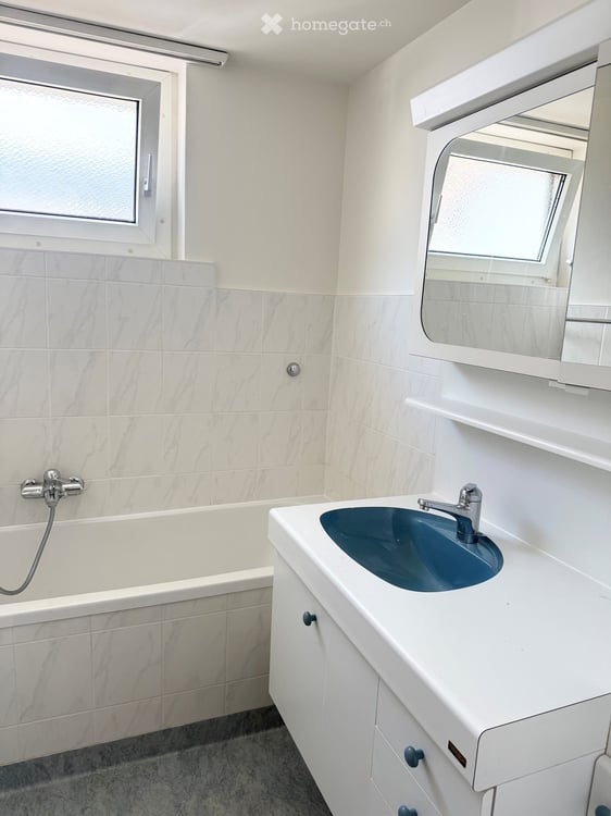Charmante 3-Zimmer-Wohnung mit Balkon in Allschwil 5