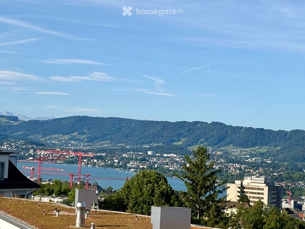 Grosszügige 6.5-Zimmer-Terrassenwohnung an der Restelbergstrasse in Zürich befristet für 1 Jahr 2