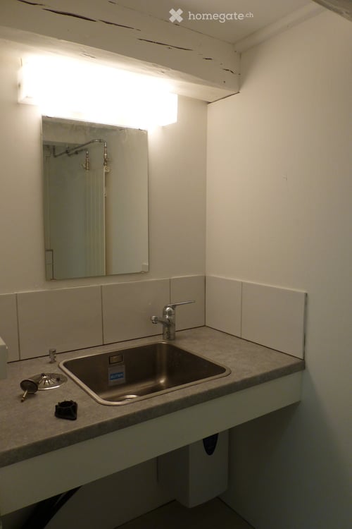 Gewerbe / Laden / Atelier in Fällanden (Befristete Vermietung) 10