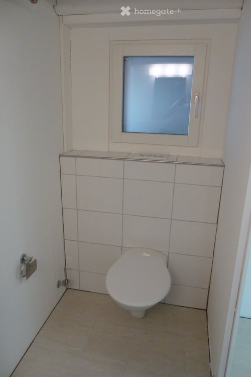 Gewerbe / Laden / Atelier in Fällanden (Befristete Vermietung) 11