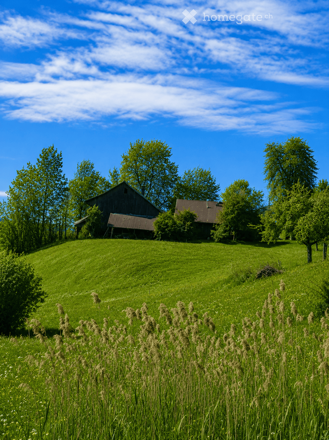 A serene rural landscape featuring a grassy hill, scattered trees, and two small buildings, including a barn and a house, under a bright blue sky with scattered clouds.