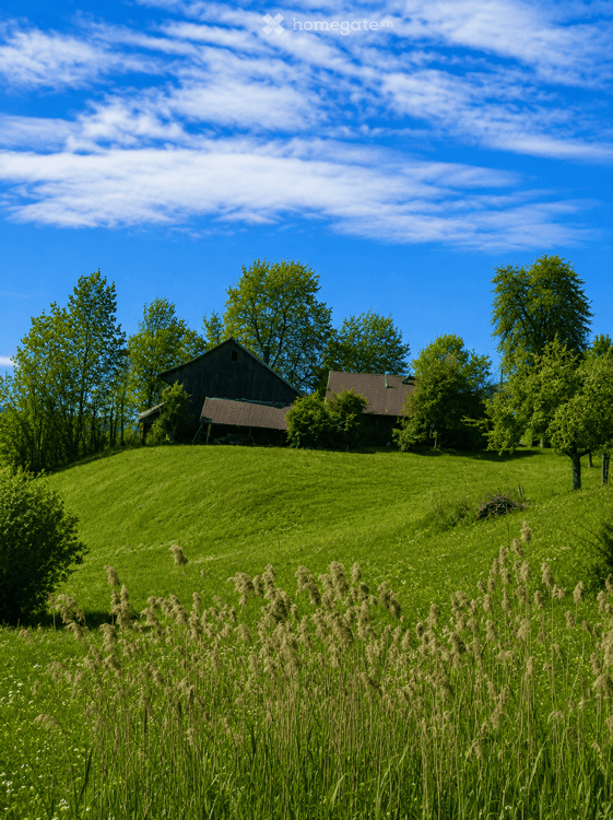 Preview image of the real estate