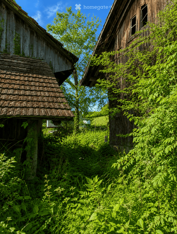 Charmantes Bauernhaus in idyllischer, einmaliger Alleinlage mit unzähligen Möglichkeiten !!! 9