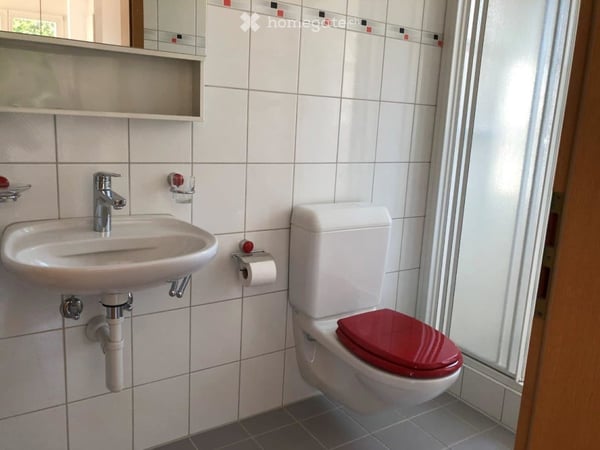 Modern renovierte 4-Zimmer-Doppelhaushälfte an idyllischer Lage in Veltheim (Au) zu vermieten 9
