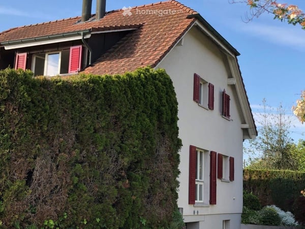 Modern renovierte 4-Zimmer-Doppelhaushälfte an idyllischer Lage in Veltheim (Au) zu vermieten 3