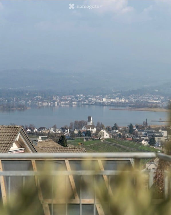 Grosszügiges 5.5-Zimmer-Einfamilienhaus an traumhafter Lage in Freienbach 3