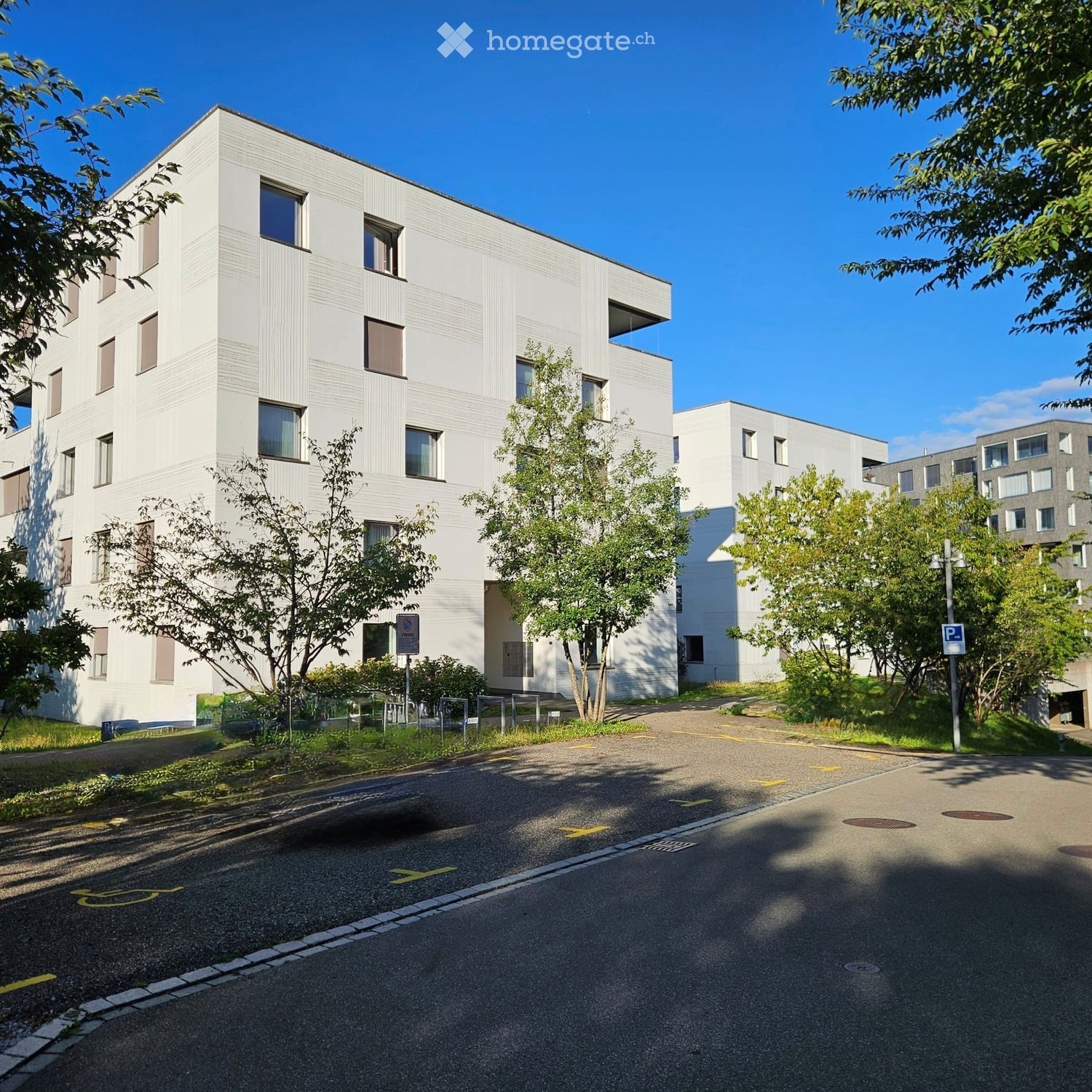 Modern multi-story building with white facade and large windows, surrounded by trees and a paved driveway.