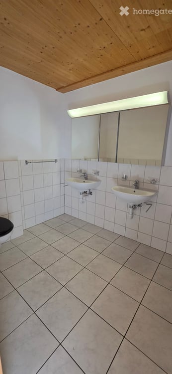 Helle 4.5-Zimmer-Wohnung mit Balkon in Wittnau 14
