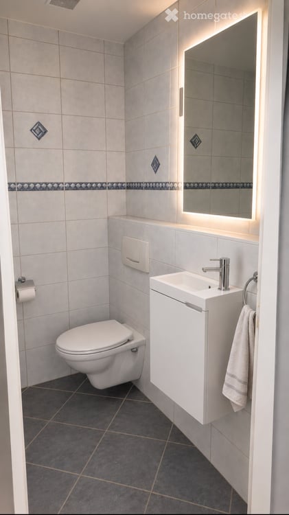 Gut gelegenes grosszügiges 4.5-Zimmer-Doppeleinfamilienhaus mit kleinem Garten 7