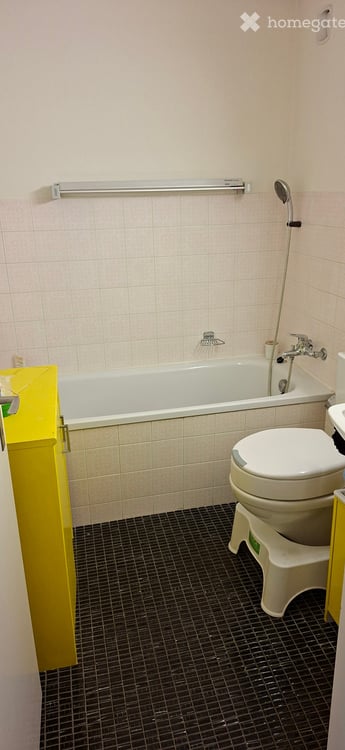Helle 5.5-Zimmer-Wohnung mit Seesicht in Männedorf 10