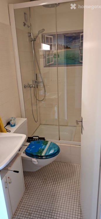 Helle 5.5-Zimmer-Wohnung mit Seesicht in Männedorf 6