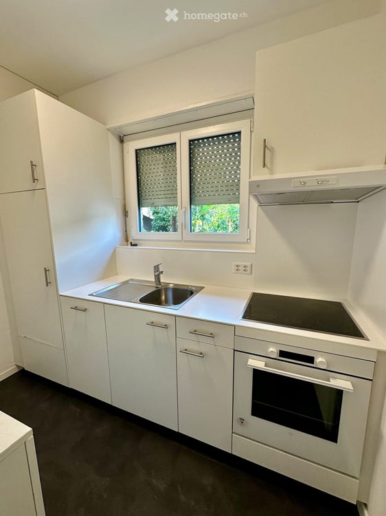 Luminoso Appartamento di 3.5-stanze// Charming 3.5-Room Apartment 3