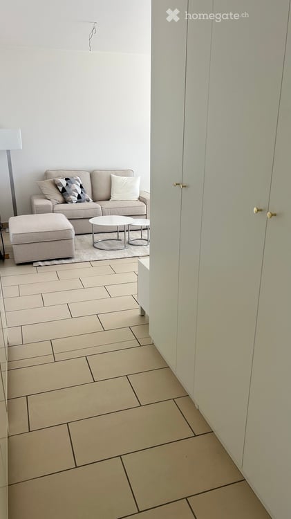 Attico ammobiliato a Viganello - Fully furnished Penthouse 4