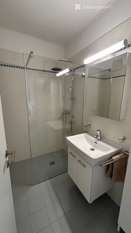 Attico ammobiliato a Viganello - Fully furnished Penthouse 11