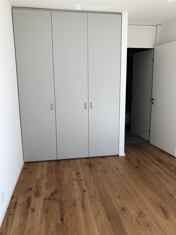 Magnifique appartement quartier Frontenex/Eaux-Vives 4