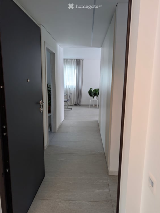 3,5 locali moderno e luminoso all’ultimo piano – Chiasso 2