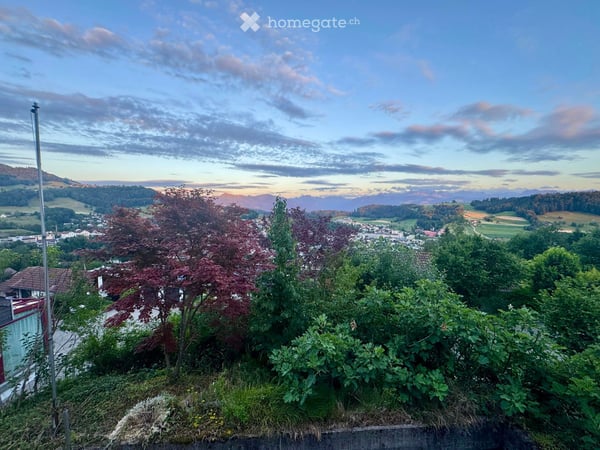 Einfamilienhaus mit grosszügigem Garten in Wald ZH 23