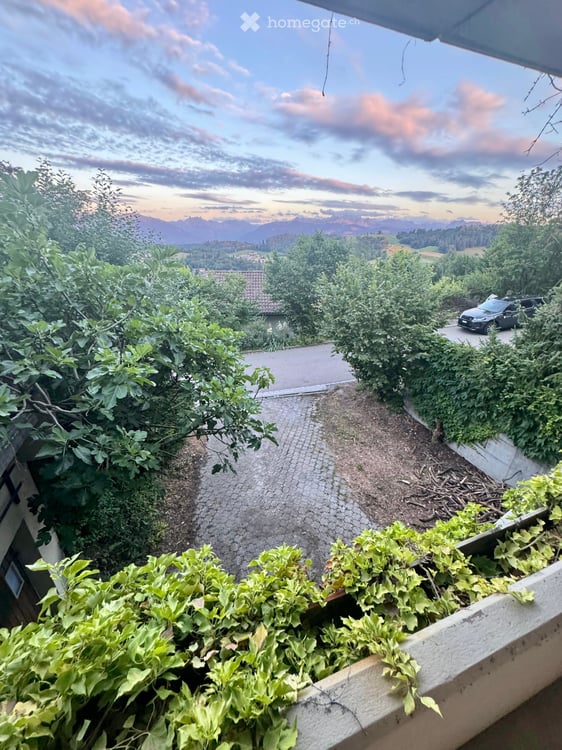 Einfamilienhaus mit grosszügigem Garten in Wald ZH 8