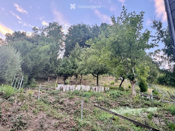 Einfamilienhaus mit grosszügigem Garten in Wald ZH 21