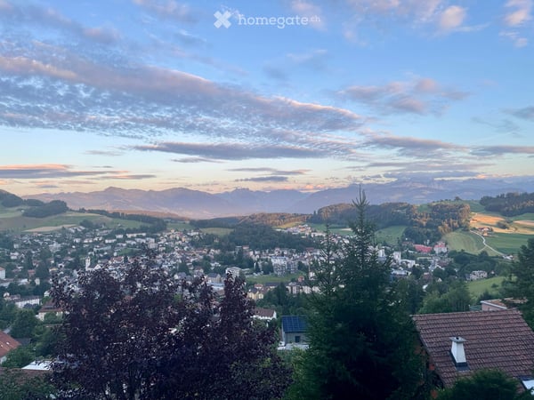 Einfamilienhaus mit grosszügigem Garten in Wald ZH 25