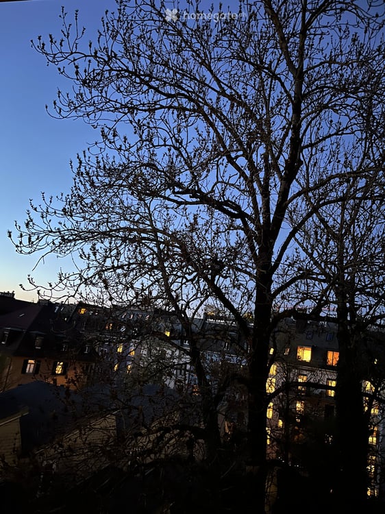 Kleine Perle in Wiedikon 9