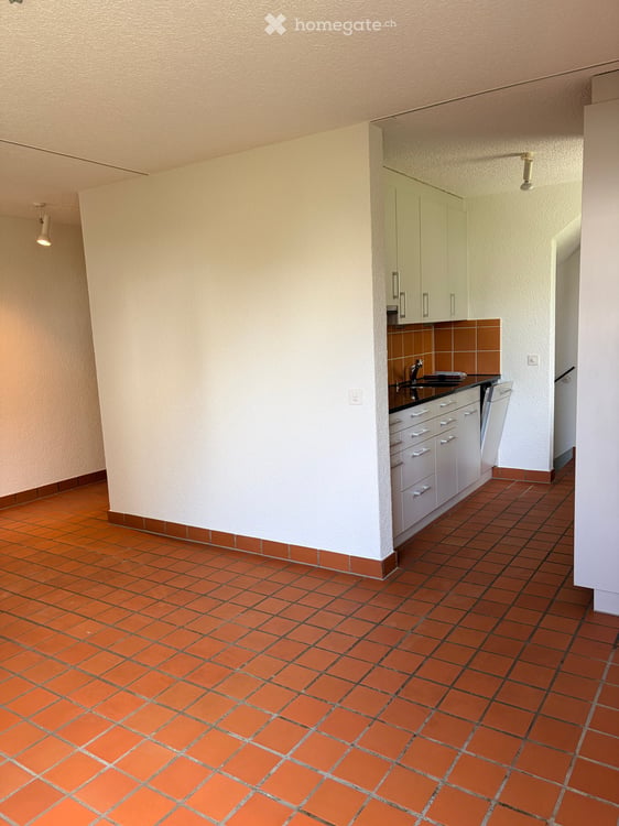 Eckhaus (Reiheneinfamilienhaus) mit grossem Garten in Dielsdorf 3