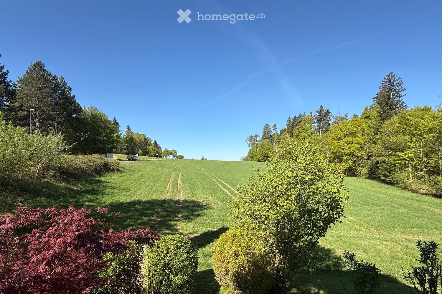 Immobilie in Pfaffhausen - Helle 4½-Zr. Wohnung mit Aussicht, Garage und Hallenbad - Bild 0