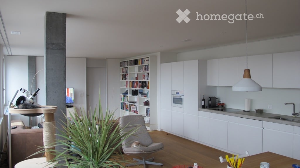 Modern open-plan living and dining area with a sofa, armchair, dining table, bookshelf, cat tree, and a small kitchen area with white cabinets, sink, and oven.