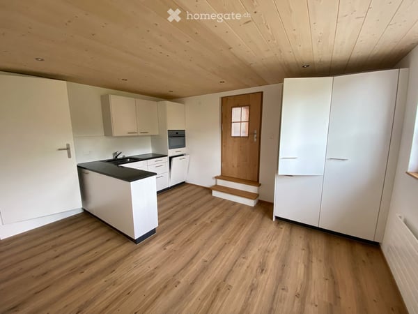 Gemütliche 2-Zimmer-Wohnung im Erdgeschoss in Brienz 1