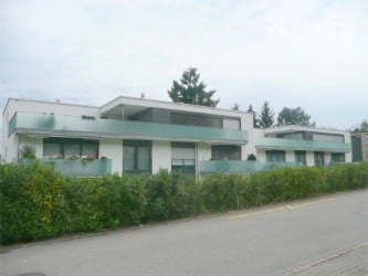 Apartment in Horgen for Rent 11