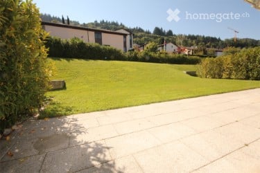 Apartment in Horgen for Rent 12