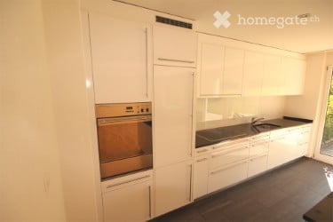 Apartment in Horgen for Rent 9