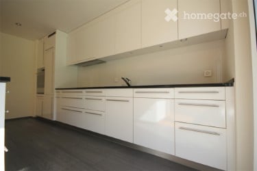 Apartment in Horgen for Rent 7