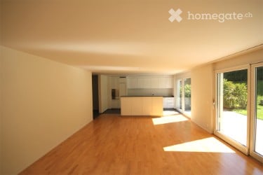 Apartment in Horgen for Rent 13