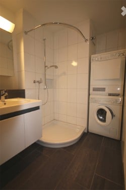 Apartment in Horgen for Rent 4