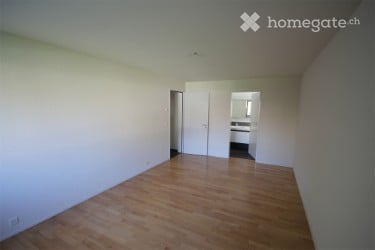 Apartment in Horgen for Rent 5