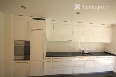 Apartment in Horgen for Rent 10