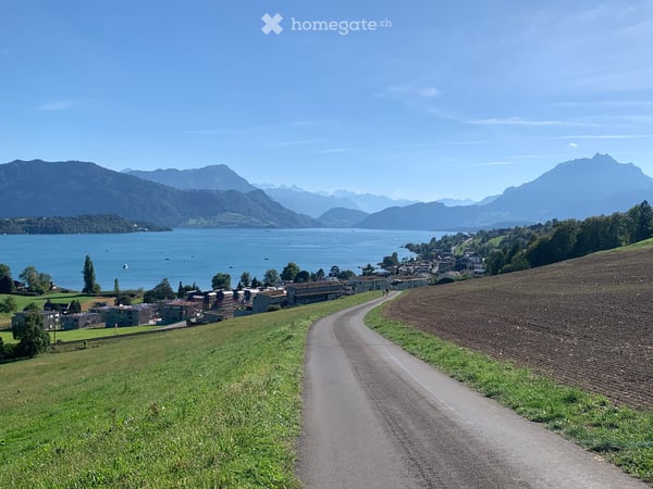 Erstbezug: 4.5-Zimmer-Gartenwohnung mit Rigi-Sicht – mitten im Naherholungsgebiet 2