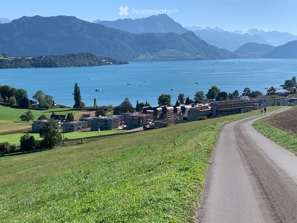Erstbezug: 4.5-Zimmer-Gartenwohnung mit Rigi-Sicht – mitten im Naherholungsgebiet 5