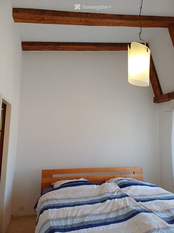 Freistehendes 5½-Zimmer-Einfamilienhaus mit idyllischem, sonnigem Garten 16