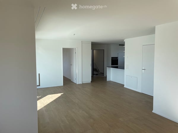 Exklusive Wohnung (mit zus. Bastelraum sep. Eingang und Aussenfenster im UG) 6